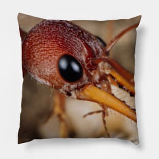 ant Pillow