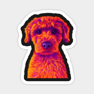 Orange and Purple Mini Poodle Magnet