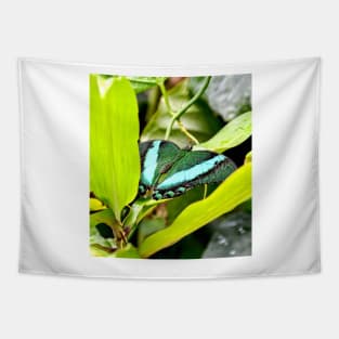 Green Banded Peacock Butterfly Tapestry