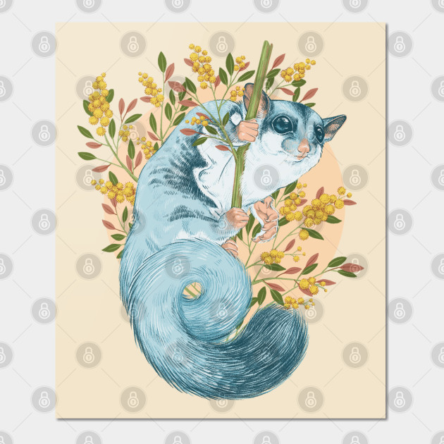 Sugar Glider - Sugar Glider - Posters and Art Prints