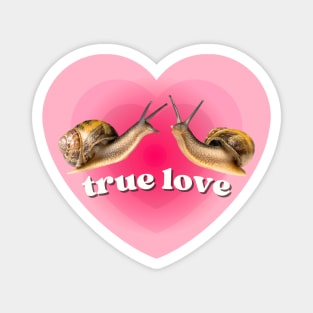 Pink Heart Two Snails in True Love. Funny Weird Gift for Snail Lovers Magnet