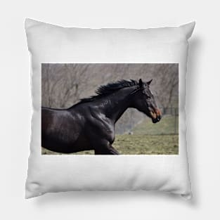 Ralla Pillow