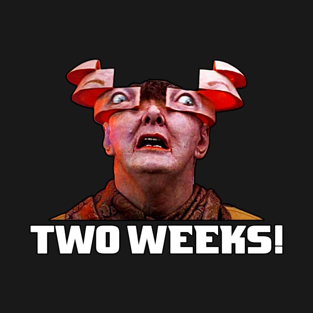 Two Weeks! by BigOrangeShirtShop