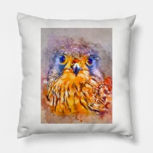 Watercolor Kestrel Pillow