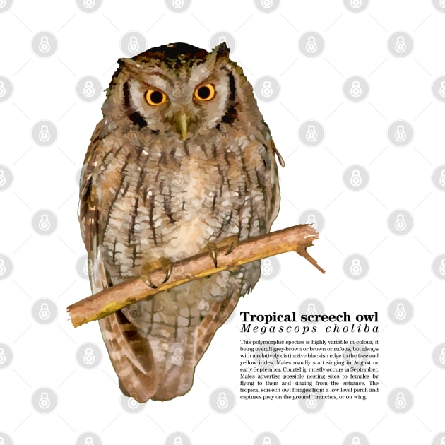 Tropical screech owl black text by Ornamentum