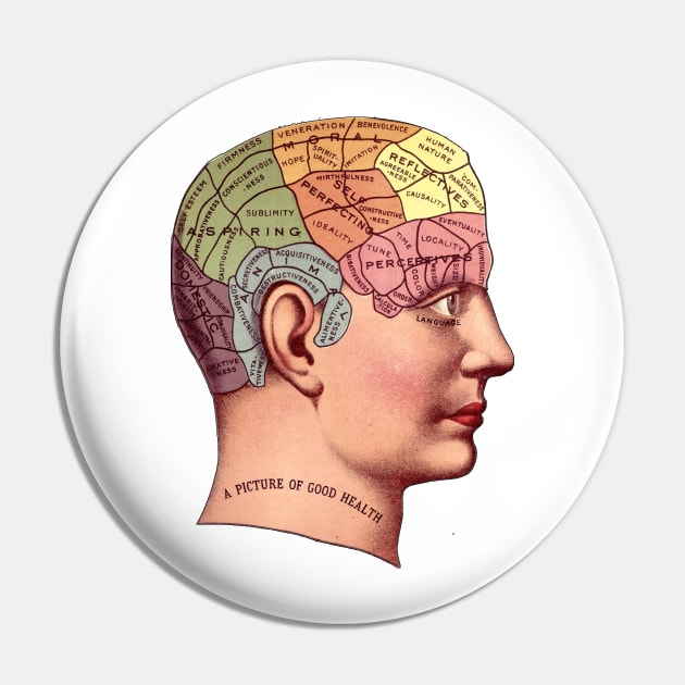 A Picture of Good Health - Vintage Brain Mapping Illustration Pin by Naves