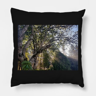 Forest Sunshine Pillow