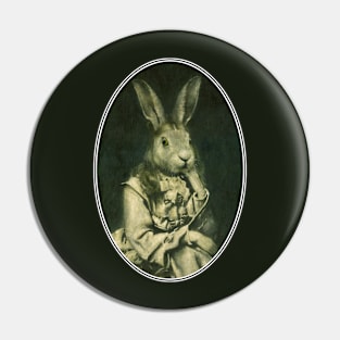 Victorian Hare Girl Oval Design Pin