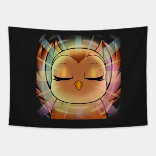 hedwid 1.5 Years Rainbow Enlightened Owl Tapestry