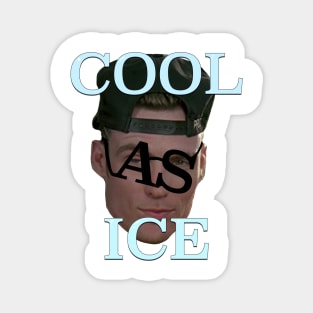 Cool As Ice Sunglasses Magnet