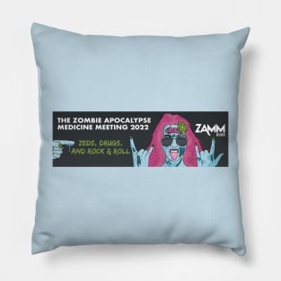 ZAMM 2022 Conference Pillow