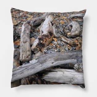 Driftwood on the shore Pillow