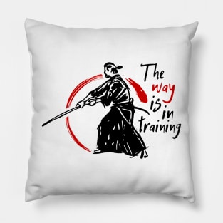 The Way is in training Pillow