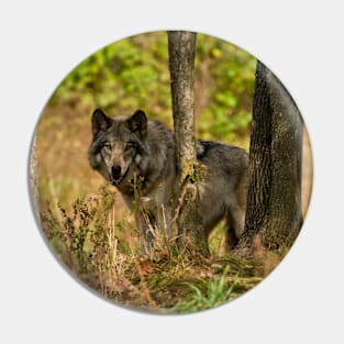 Grey Wolf Pin