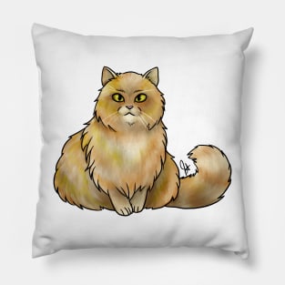 Cat - British Longhair - Marmalade Pillow