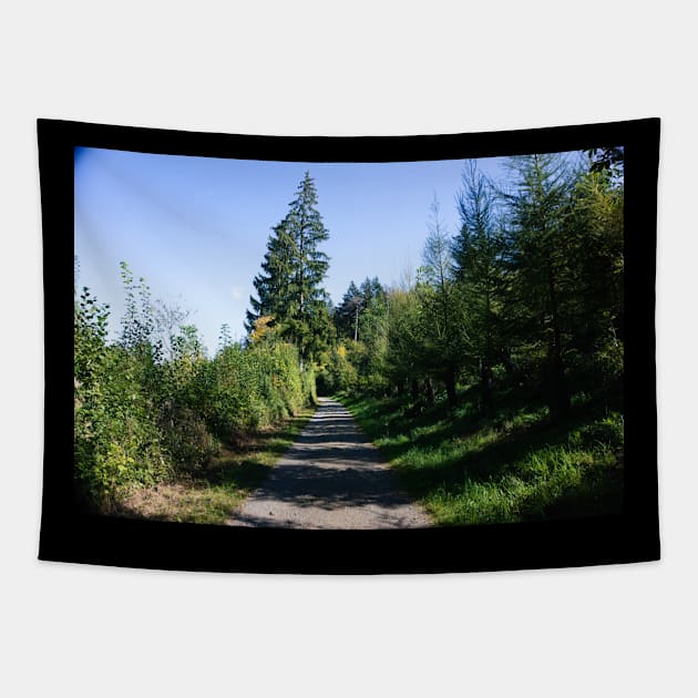 Path By The Forest Tapestry by Pirino