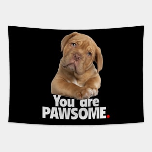 You are PAWSOME - Dark Tapestry