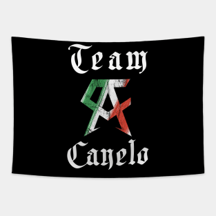 Team Canelo Tapestry