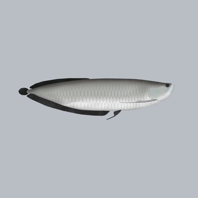 Silver Arowana by FishFolkArt