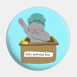 Cat's Bathtub Box Pin