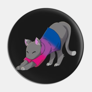 Bisexual cat stretching Pin