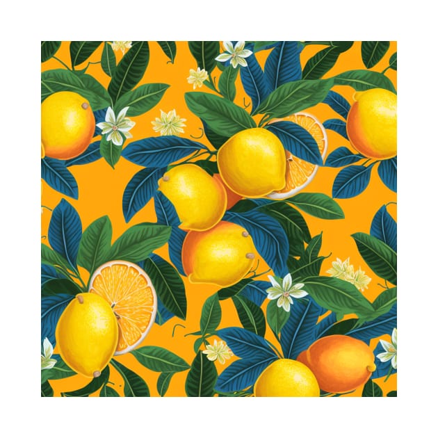 Sicilian oranges II by RoseAesthetic