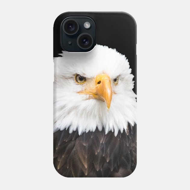 Bald eagle Phone Case by Naturelovers