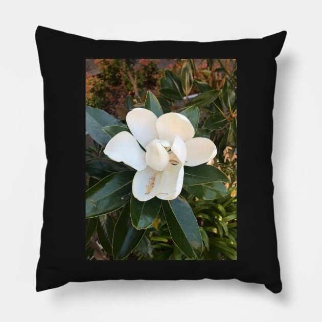 Magnolia Pillow by YollieBeeArt