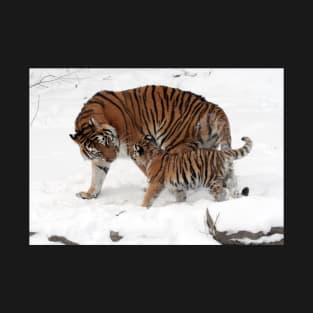 Tiger and cub T-Shirt