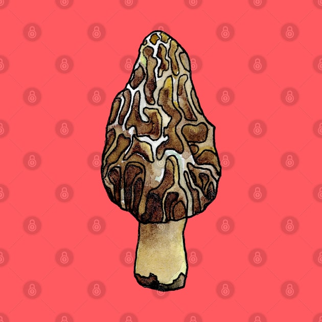 Morel by ThisIsNotAnImageOfLoss