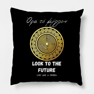 Look to the future and live better life ,apparel hoodie sticker coffee mug gift for everyone Pillow