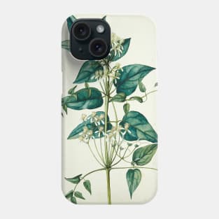 Green tree Phone Case