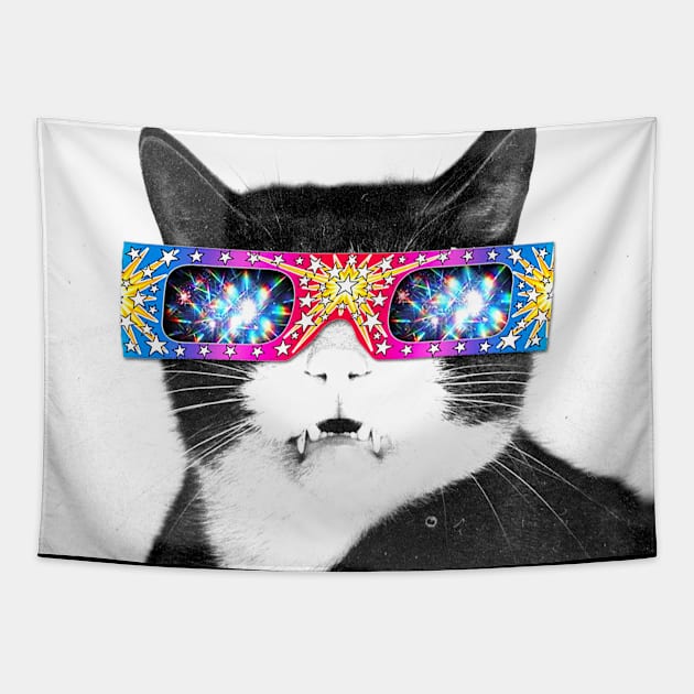 Cat Retro Psychedelic Tapestry by iKaseindustry