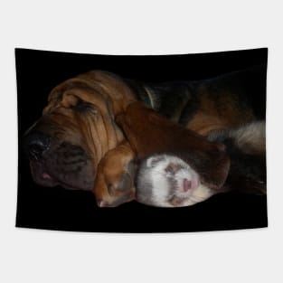 Bloodhound Ferret BFF Tapestry