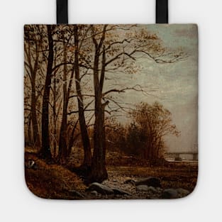 Near McComb's Dam, Harlem, New York by David Johnson Tote