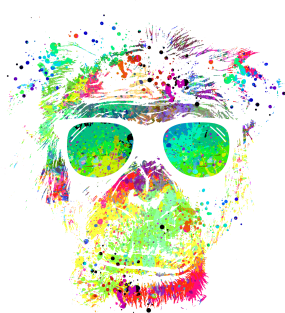 Technicolor Monkey Magnet