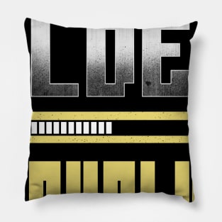 I Don't Get Older I Level Up Pillow