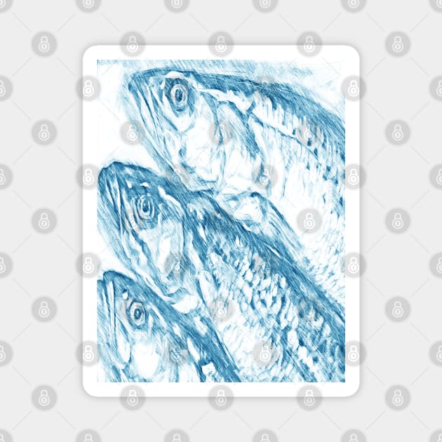 Fishes Magnet by Banyu_Urip