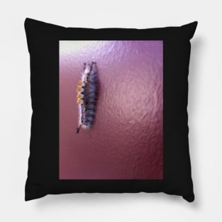 Poisonous Caterpillar Pillow
