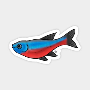 Fish - Tetras - Cardinal Tetra Magnet