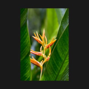 Tropical Heliconia Floral Photography T-Shirt