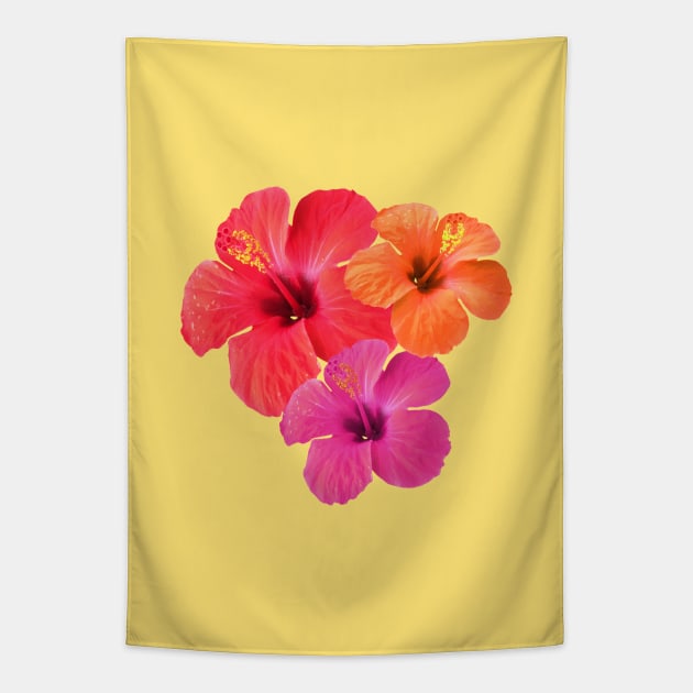 Red Orange Pink Hibiscus Flowers Tapestry by mareescatharsis