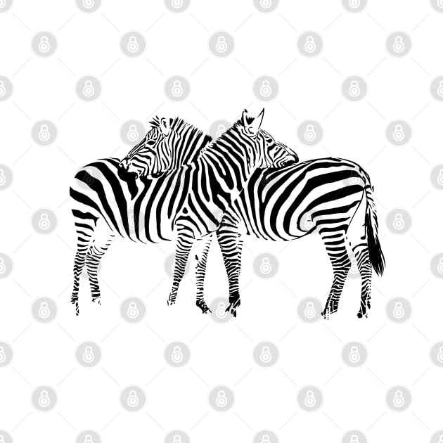 Zebra by sibosssr