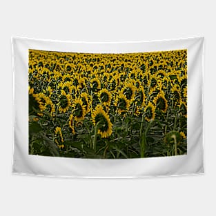 Sunflower Fields Forever Tapestry