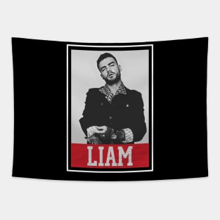 liam payne Tapestry