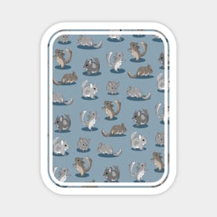 Chinchilla Pattern Magnet