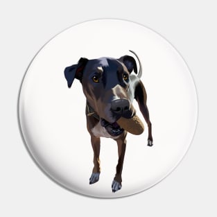 cute dog playing throw and catch-vector art the dog Pin