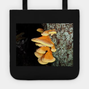 Chicken of the woods mushrooms Tote