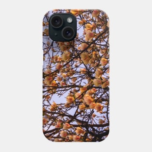 Peach flowers spring colors photography Phone Case