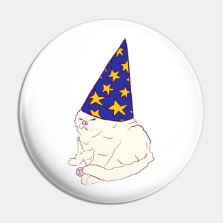 Wizard Kitty Pin